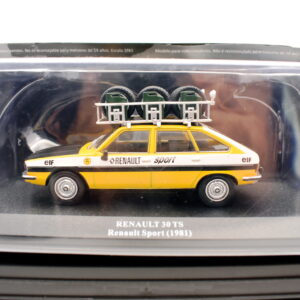 modellino auto rally scala 1:43 renault 30 TS  collezione modellismo statico ixo