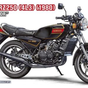 Modellino model kit Hasegawa YAMAHA RZ250 4L3 1980 SCALA 1:12 modellismo